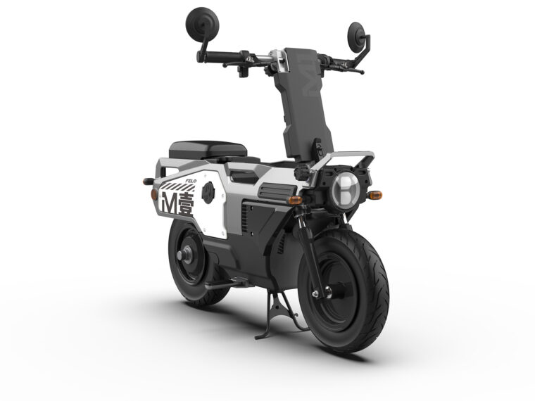 Felo-M1-2025-estudio-colores10