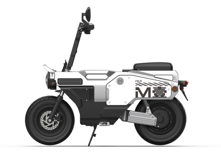 Felo-M1-2025-estudio-colores11