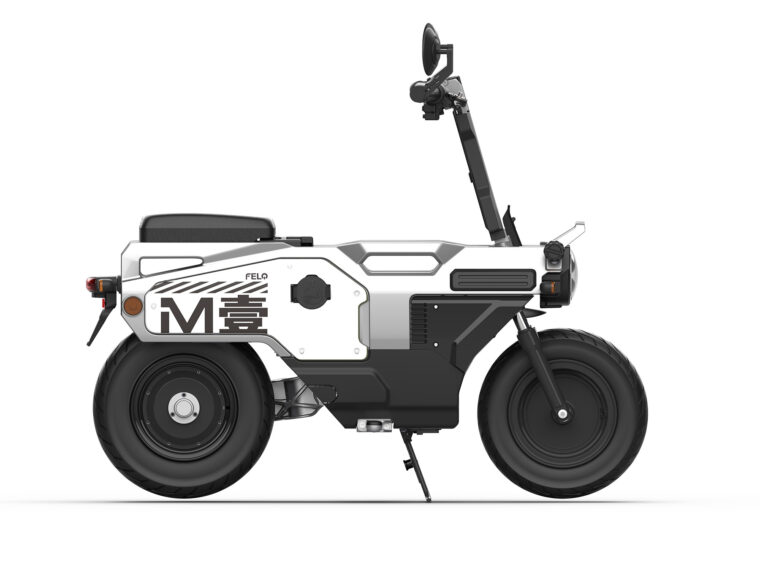 Felo-M1-2025-estudio-colores12