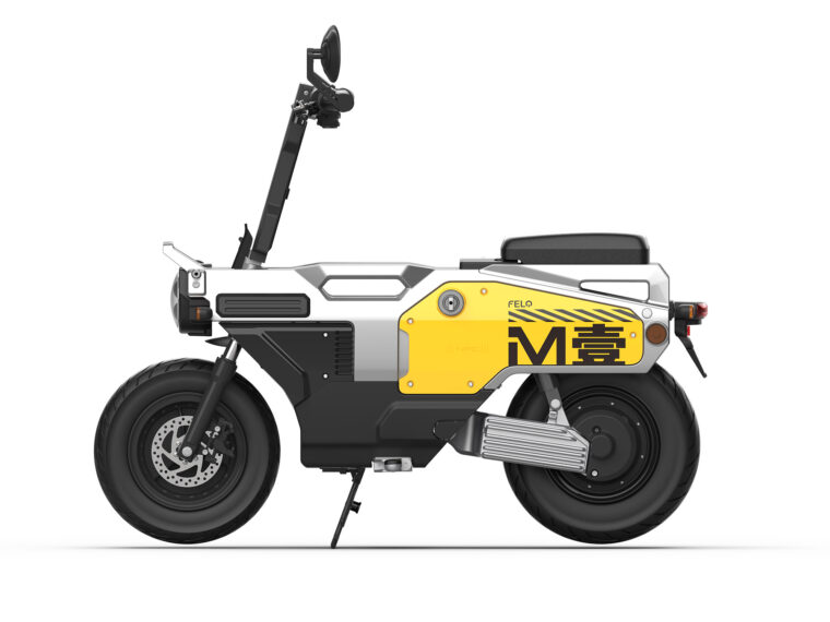 Felo-M1-2025-estudio-colores5