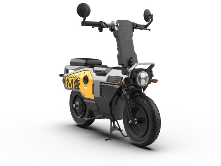 Felo-M1-2025-estudio-colores6