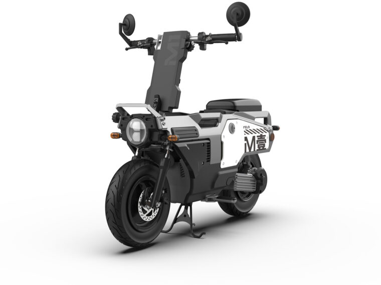 Felo-M1-2025-estudio-colores9