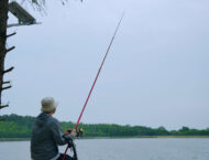 Felo M1 2025 varias10