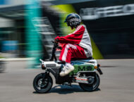 Felo M1 2025 varias2