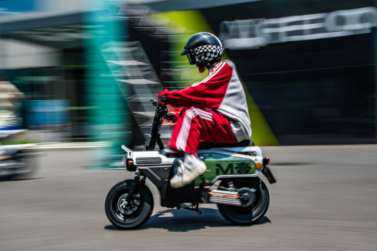 Felo-M1-2025-varias2