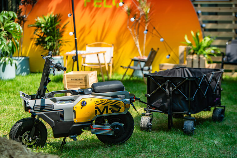 Felo-M1-2025-varias28