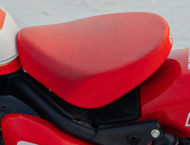 Royal Enfield Shotgun 650 Icon Edition 15