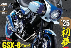 Suzuki GSX 8 Type S bikeleaks 1