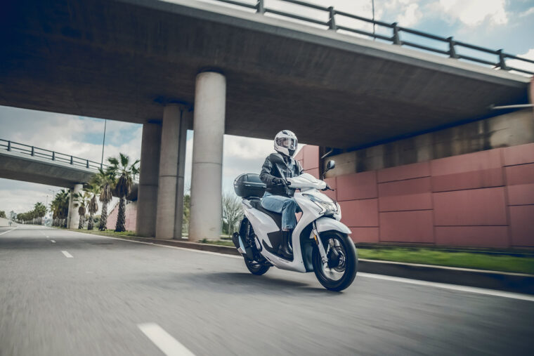 QJ-SQ-16-2025-accion7