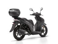 QJ SQ 16 2025 estudio colores12