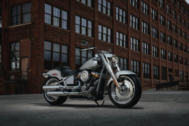 Harley Davidson Fat Boy Gray Ghost 2025 estaticas2
