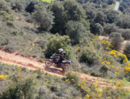 Maletas Moto Detail LOUISConsejos2