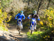 Sherco SEF Factory 2026 accion4