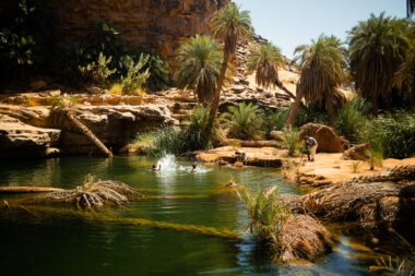 Apocalypse ©Carlos Farrera Blue Banana 04