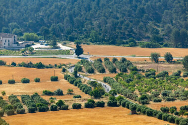 Honda CB750 Hornet 2025 prueba opinion 27