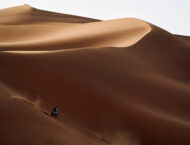 KTM 450 Rally Replica 2026 14 KTM 450 Rally Replica 2026 accion39