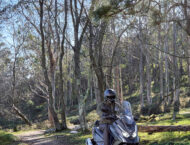 KYMCO DTX 350 2025 accion1