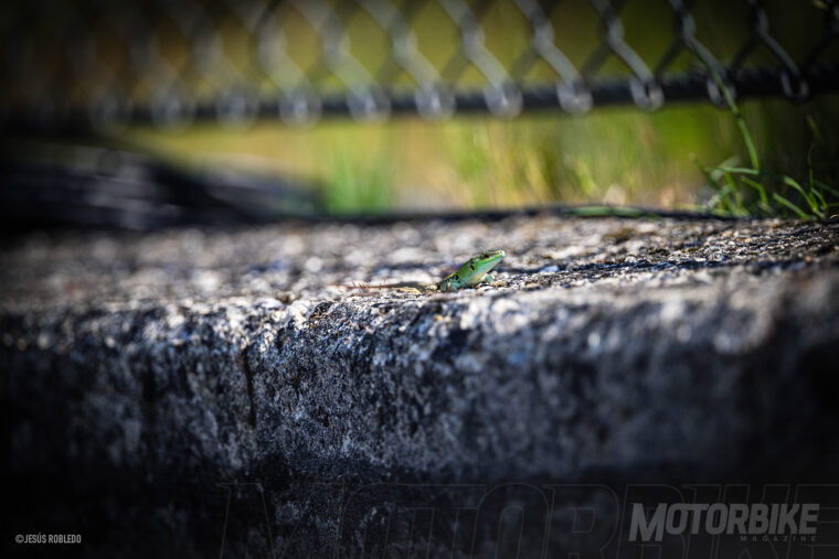 motogp-mugello-gp-italia-fotos-galeria (64)