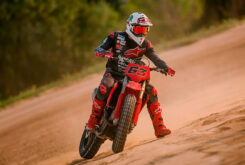 pecco bagnaia desmo450 mx flat track