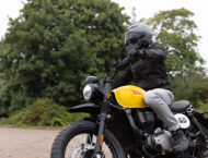 BSA Scrambler 650 2025 accion8