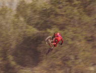 GASGAS MC 125 2026 accion11