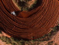 Stark Varg MX 1 2 2026 accion19