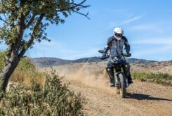 voge ds800 rallly 2025 11