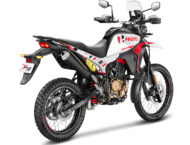 Hero MotoCorp 2026. Marca eléctrica Vida, prototipos y dos novedades de combustión 30 Hero XPulse 210 Dakar Edition 2026 2