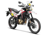 Hero MotoCorp 2026. Marca eléctrica Vida, prototipos y dos novedades de combustión 26 Hero XPulse 210 Dakar Edition 2026 5