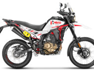 Hero MotoCorp 2026. Marca eléctrica Vida, prototipos y dos novedades de combustión 27 Hero XPulse 210 Dakar Edition 2026 6