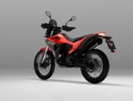 Moto Morini Kanguro / Rally. Nueva plataforma en dos versiones presentadas en EICMA 2025 11 Moto Morini Kanguro Rally 300 preview4