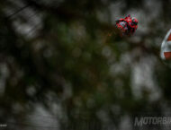 motogp portimao fotos gp portugal galeria (16)